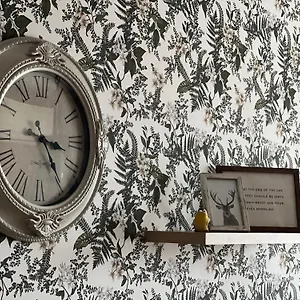 https://apartment-stella.varna-hotels.com